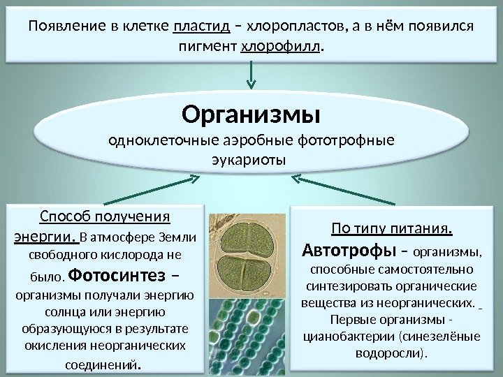 Способ получения энергии.  В атмосфере Земли свободного кислорода не было.  Фотосинтез –