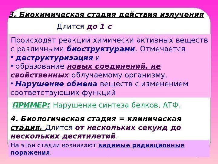 3. Биохимическая стадия действия излучения Длится до 1 с Происходят реакции химически активных веществ