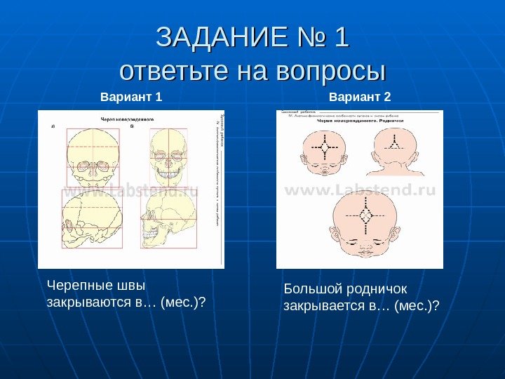   ЗАДАНИЕ № 1 ответьте на вопросы     Вариант 1