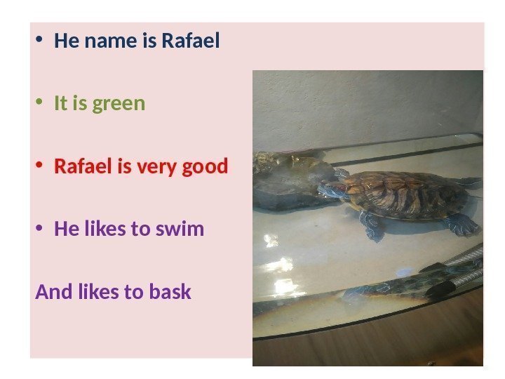  • He name is Rafael      • It is