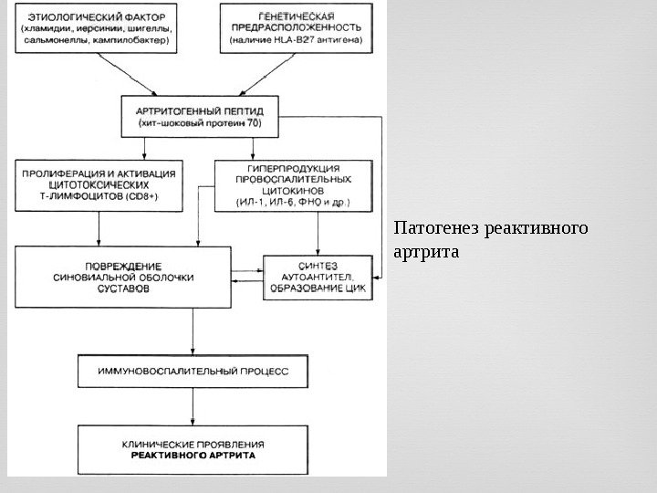 Патогенез реактивного артрита 