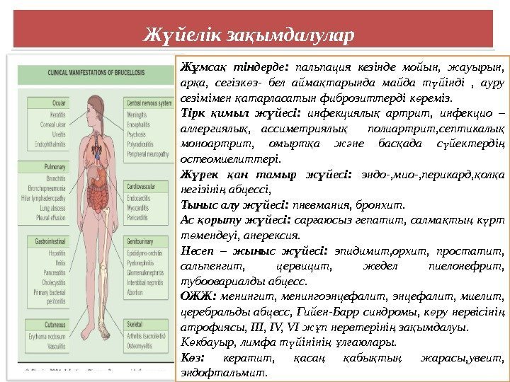 Ж йелік за ымдалуларү қ  Ж мса  тіндерде:  ұ қ пальпация