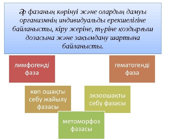 р фазаны к рінуі ж не оларды дамуы Ә ң ө ә ң организмні