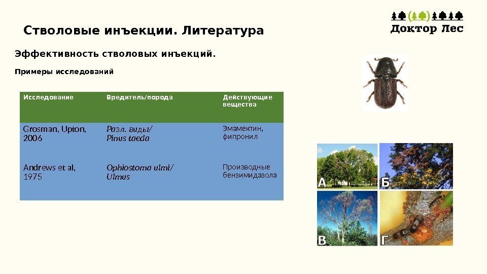 Стволовые инъекции. Литература Исследование Вредитель/порода Действующие вещества Grosman, Upton,  2006 Разл. виды/ Pinus