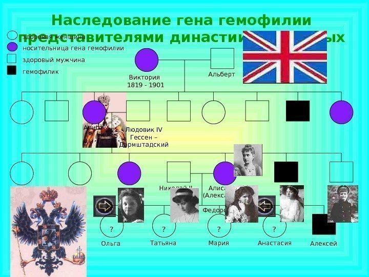 Наследование гена гемофилии представителями династии Романовых  Виктория 1819 - 1901   Алиса