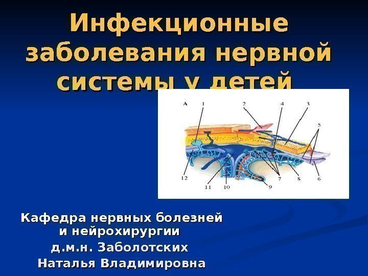 Инфекционные заболевания нервной системы у детей Кафедра нервных болезней и нейрохирургии д. м. н.