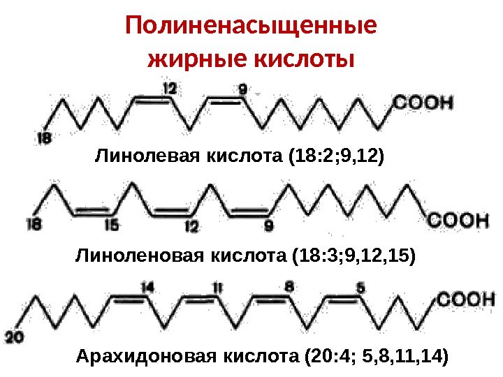 Полиненасыщенные жирные кислоты Линолевая кислота (18: 2; 9, 12) Линоленовая кислота (18: 3; 9,