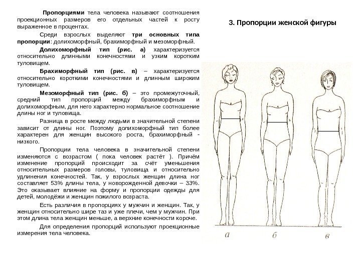 3. Пропорции женской фигуры  Пропорциями  тела человека называют соотношения проекционных размеров его
