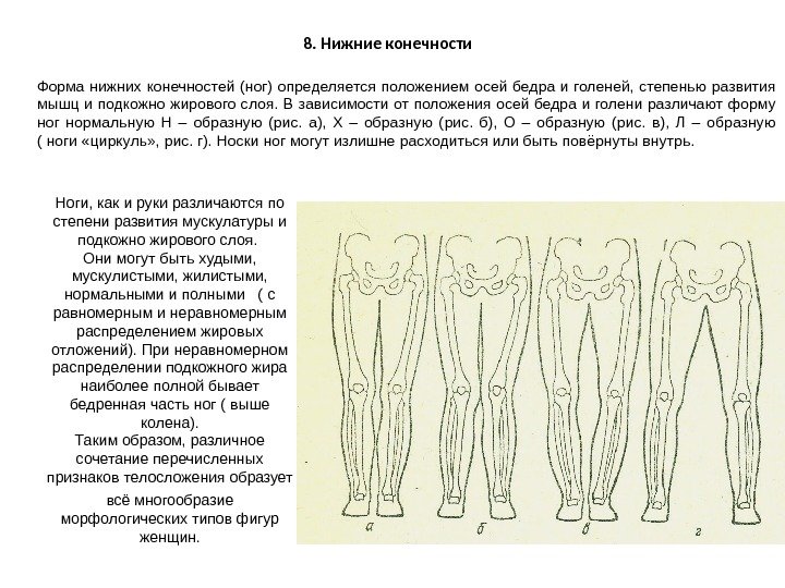 8. Нижние конечности Форма нижних конечностей (ног) определяется положением осей бедра и голеней, 