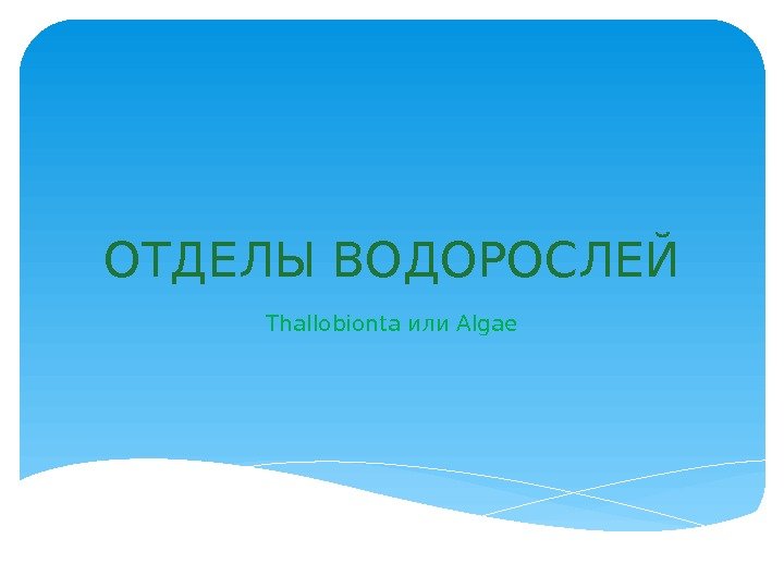 ОТДЕЛЫ ВОДОРОСЛЕЙ Thallobionta или Algae  