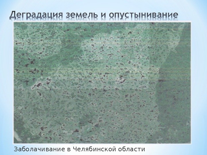 Заболачивание в Челябинской области 