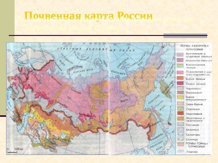   Почвенная карта России Познакомьтесь с размещением главных почв на территории нашей страны