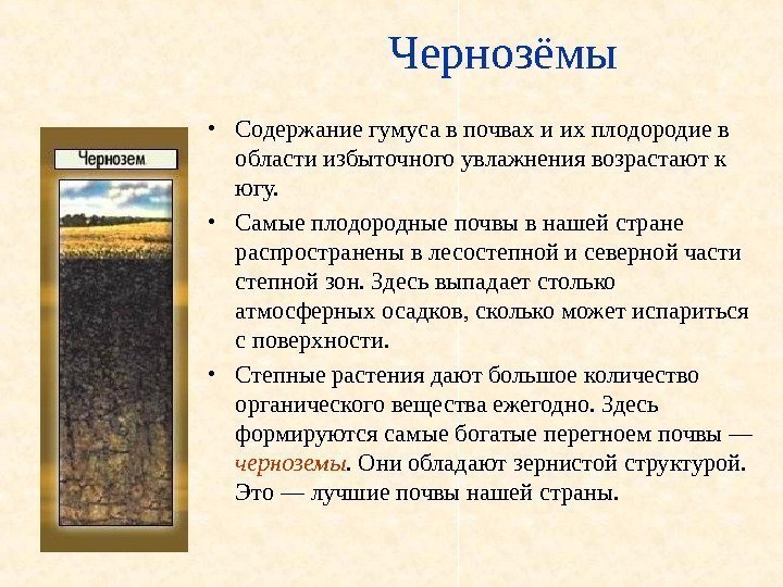   Чернозёмы • Содержание гумуса в почвах и их плодородие в области избыточного