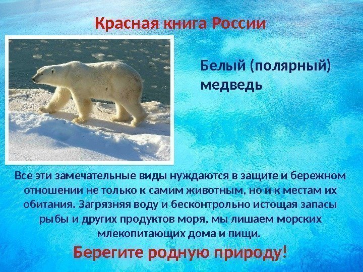 Красная книга России Белый (полярный) медведь Все эти замечательные виды нуждаются в защите и