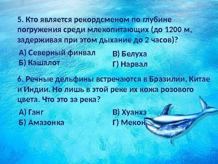 6. Речные дельфины встречаются в Бразилии, Китае и Индии. Но лишь в этой реке