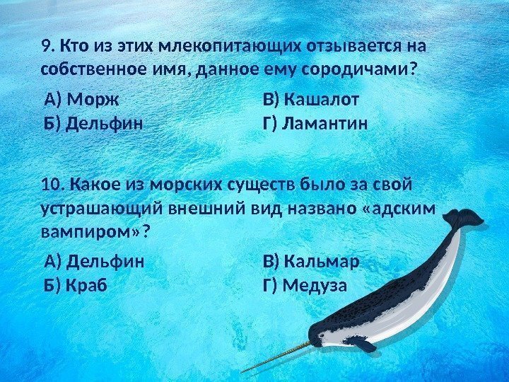 10. Какое из морских существ было за свой устрашающий внешний вид названо «адским вампиром»