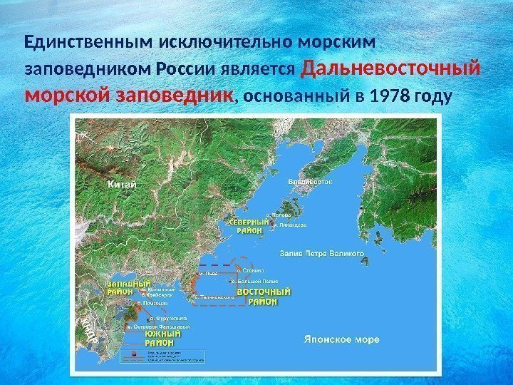 Единственным исключительно морским заповедником России является Дальневосточный морской заповедник , основанный в 1978 году