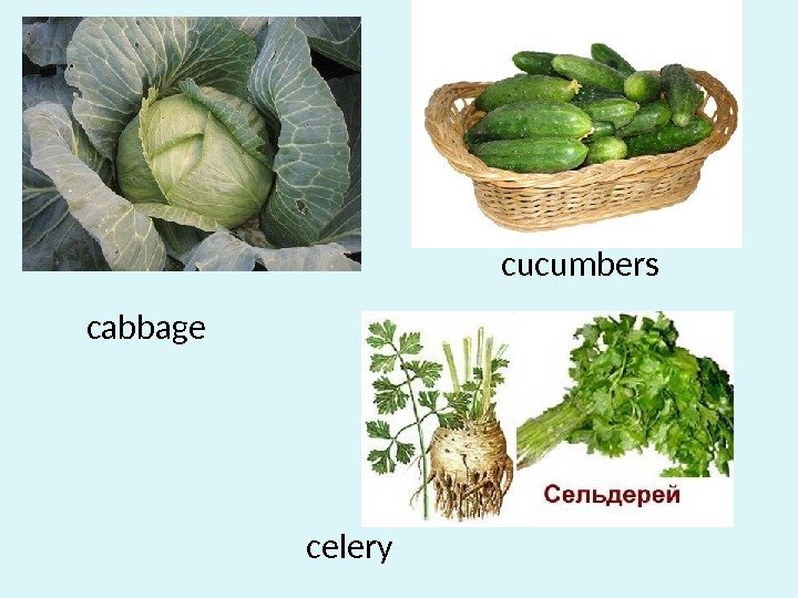 cabbage cucumbers celery 