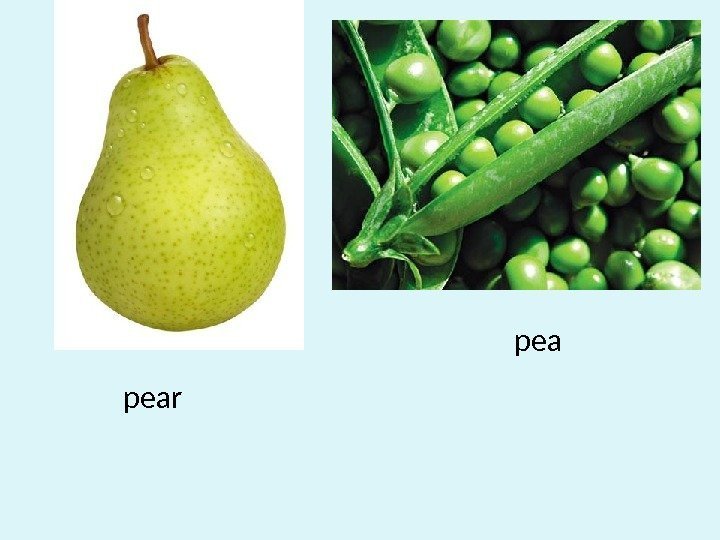 pea pear 