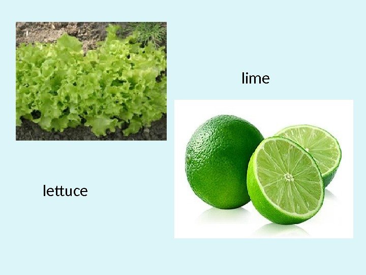 lime lettuce 