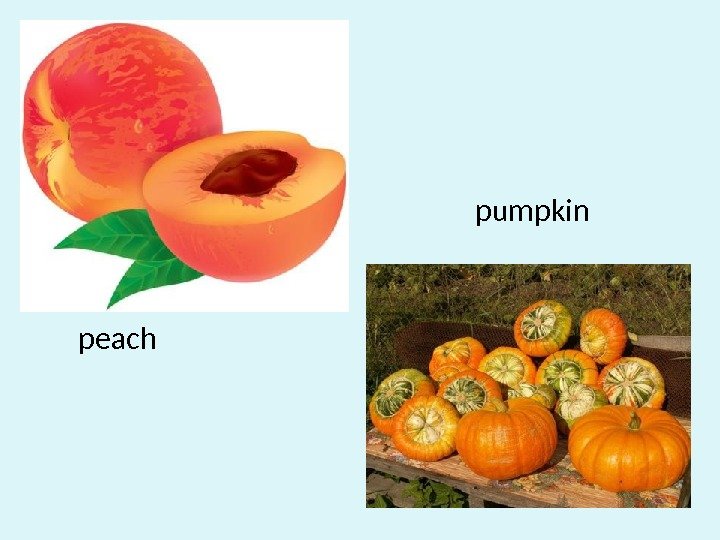 pumpkin peach 