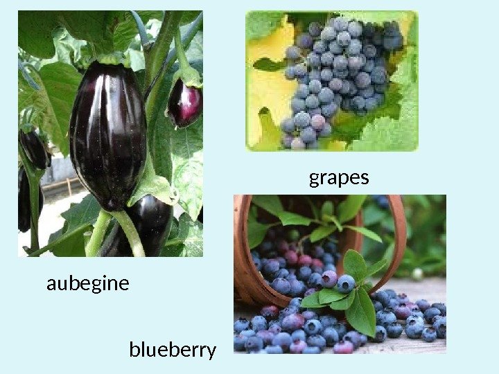 aubegine grapes blueberry 