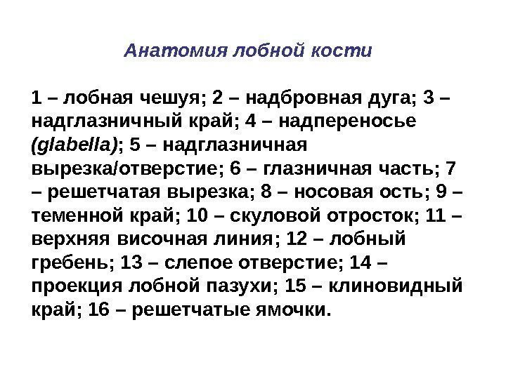 Анатомия лобной кости  1 – лобная чешуя; 2 – надбровная дуга; 3 –