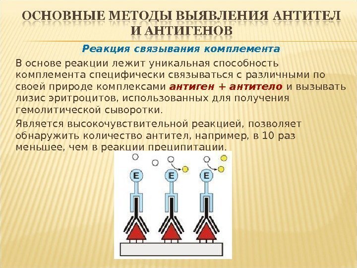 Реакция связывания комплемента В основе реакции лежит уникальная способность комплемента специфически связываться с различными