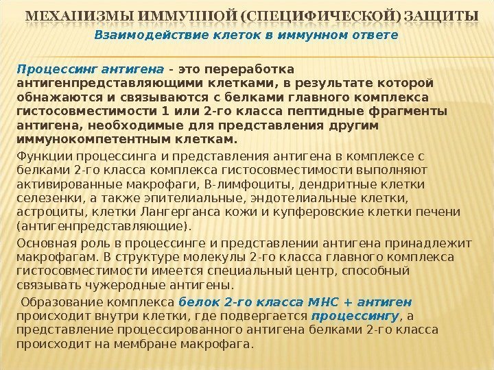 Взаимодействие клеток в иммунном ответе Процессинг антигена - это переработка антигенпредставляющими клетками, в результате