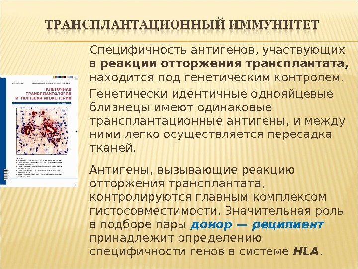 Специфичность антигенов, участвующих в реакции отторжения трансплантата,  находится под генетическим контролем.  Генетически