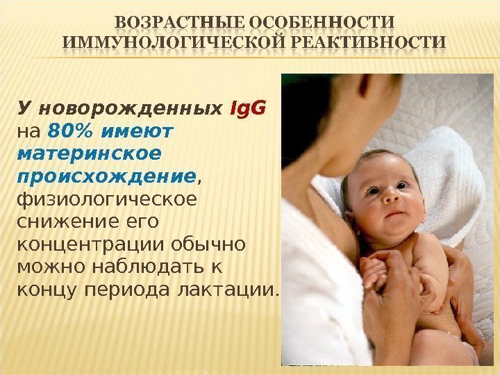 У новорожденных Ig. G  на 80 имеют материнское происхождение ,  физиологическое снижение