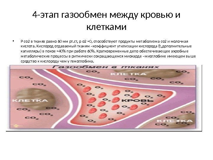 4 -этап газообмен между кровью и клетками • Р со 2 в тканях равно