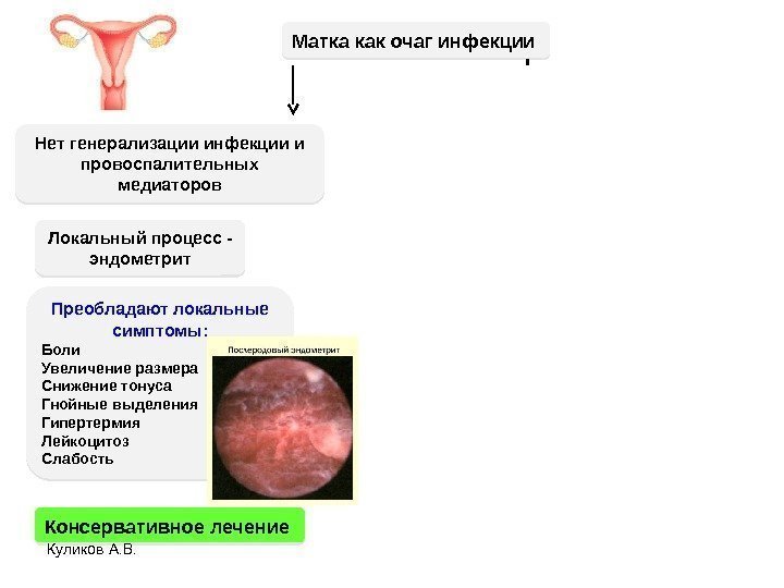 Куликов А. В. Матка как очаг инфекции Преобладают локальные симптомы: Боли Увеличение размера Снижение