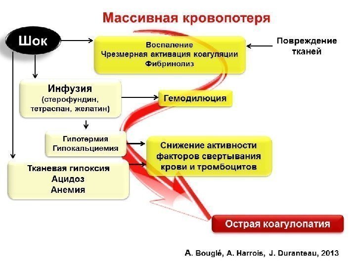 Куликов А. В. 