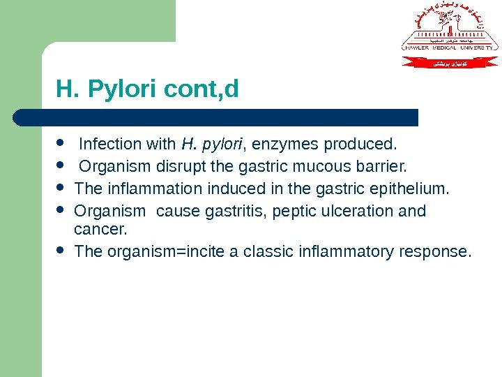 H. Pylori cont, d  Infection with H. pylori , enzymes produced. Organism disrupt