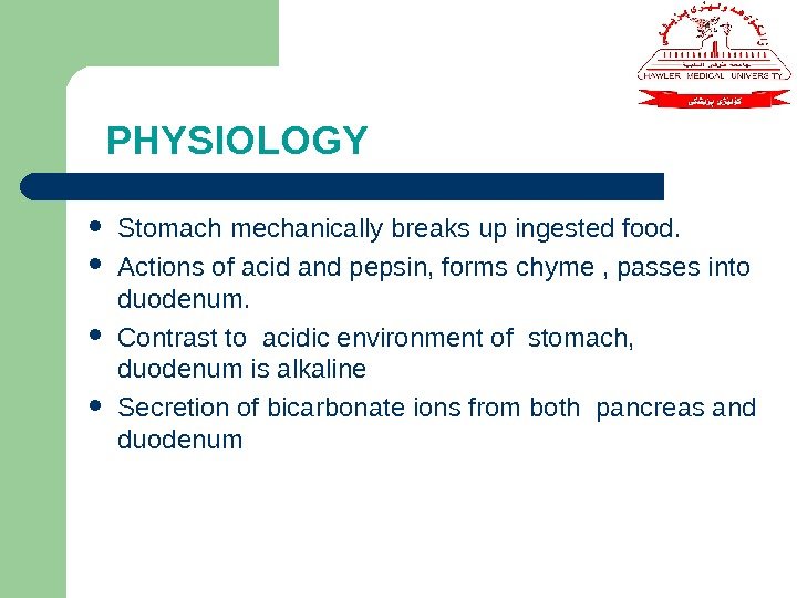  PHYSIOLOGY  Stomach mechanically breaks up ingested food.  Actions of acid and