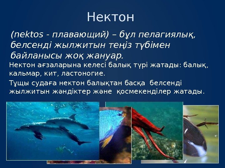 Нектон (nektos - плавающий) – бұл пелагиялық,  белсенді жылжитын теңіз түбімен байланысы жоқ