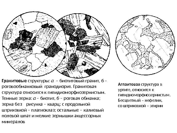 Гранитовые структуры : а – биотитовый гранит,  б – роговообманковый гранодиорит. Гранитовая структура