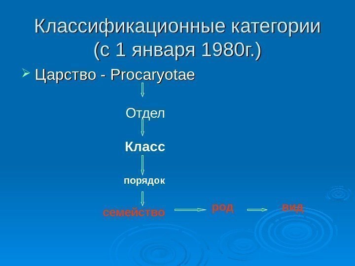 Классификационные категории (с 1 января 1980 г. ) Царство - Procaryotae Отдел Класс порядок