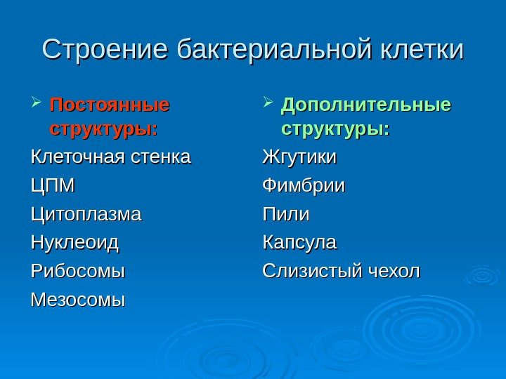 Строение бактериальной клетки Постоянные структуры: Клеточная стенка ЦПМЦПМ Цитоплазма Нуклеоид Рибосомы Мезосомы Дополнительные структуры: