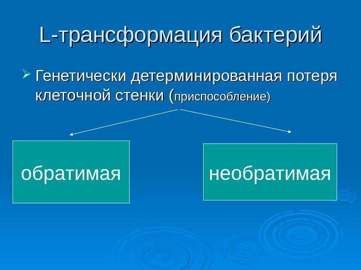 L-L- трансформация бактерий Генетически детерминированная потеря клеточной стенки ( приспособление) обратимая необратимая 