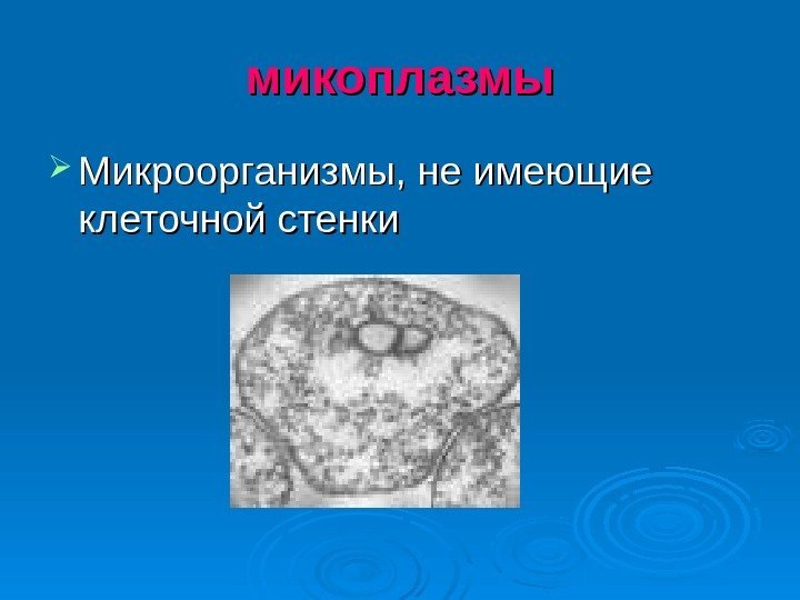 микоплазмы Микроорганизмы, не имеющие клеточной стенки 