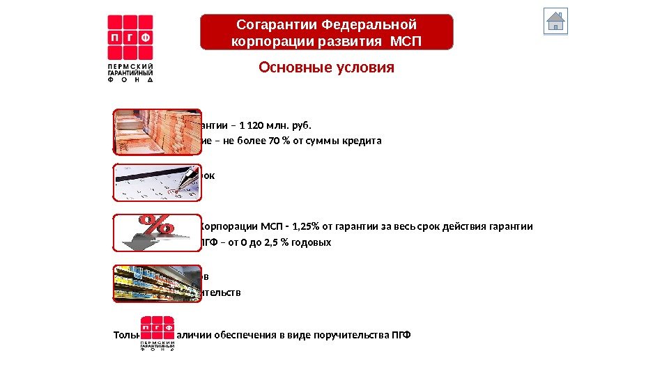 Лимит суммы гарантии – 1 120 млн. руб. Общее обеспечение – не более 70