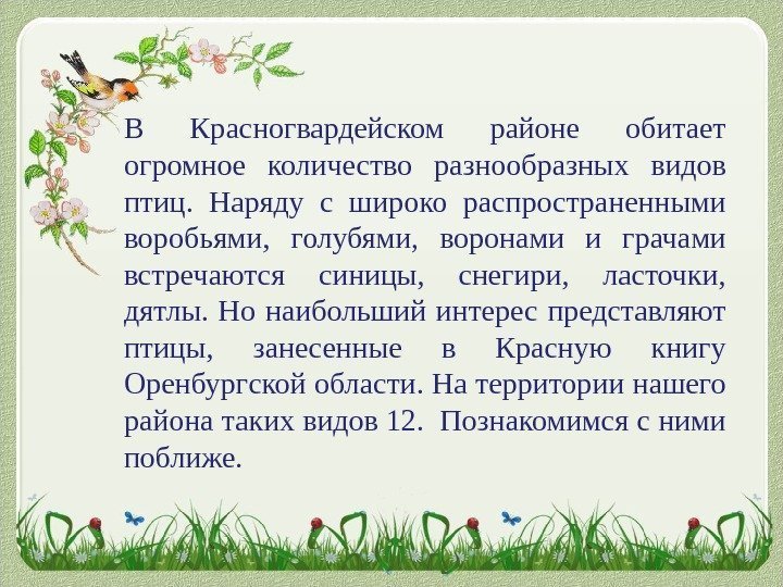 В Красногвардейском районе обитает огромное количество разнообразных видов птиц.  Наряду с широко распространенными