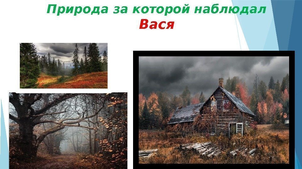 Природа за которой наблюдал Вася     