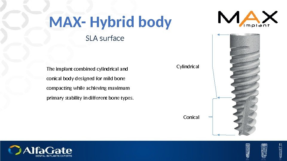 MAX- Hybrid body Cylindrical  Conical The implant combined cylindrical and conical body designed