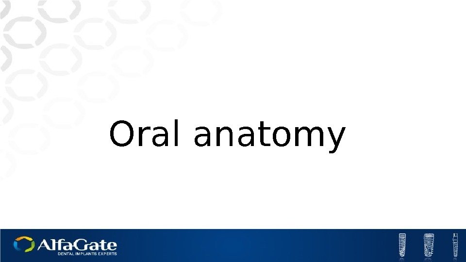 Oral anatomy 