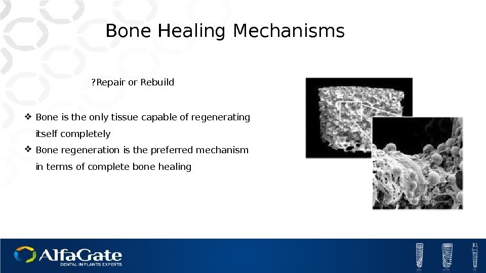  Bone is the only tissue capable of regenerating itself completely Bone regeneration is