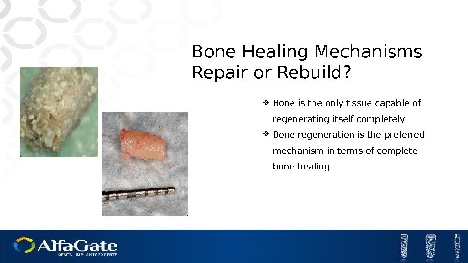 Bone Healing Mechanisms Repair or Rebuild?  Bone is the only tissue capable of