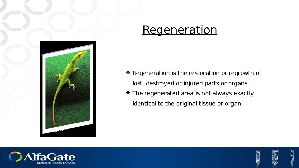  Regeneration is the restoration or regrowth of lost, destroyed or injured parts or